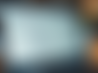 Using SEO to Elevate Your Business