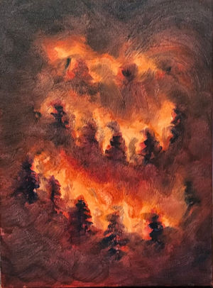 Forest Fire