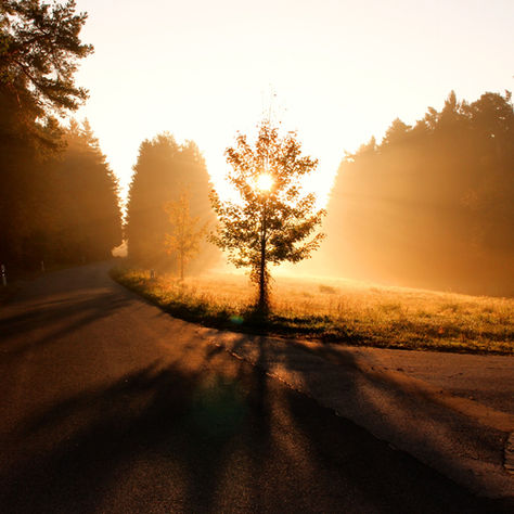 Changing Lanes