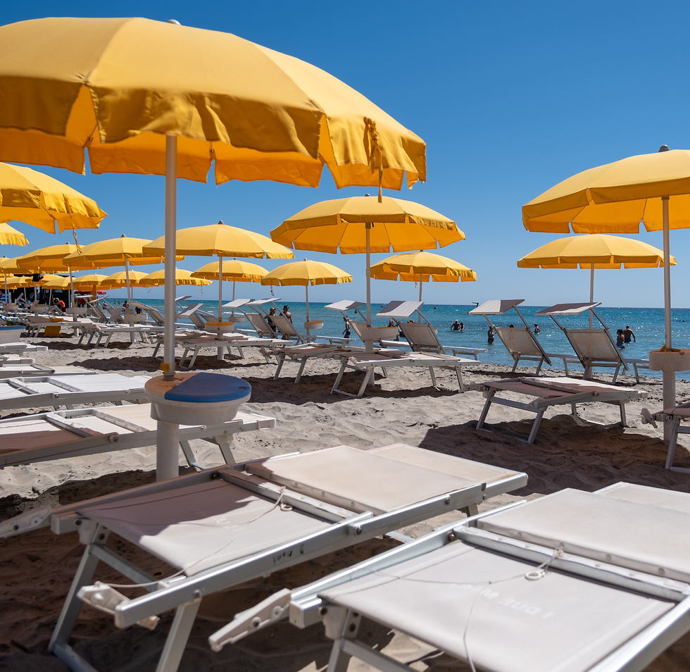 Progetto senza titolo (11).png