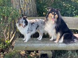 37f725dc-eec4-449a-acf8-ac0df9b8a9a3