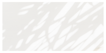 2F882A06-8511-4545-ADE1-0DD7F13A1EF1.png