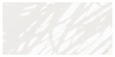2F882A06-8511-4545-ADE1-0DD7F13A1EF1.png
