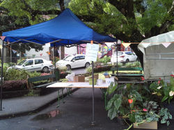 Kermesse 2017