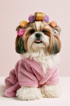 Dog enjoying a pampering session
