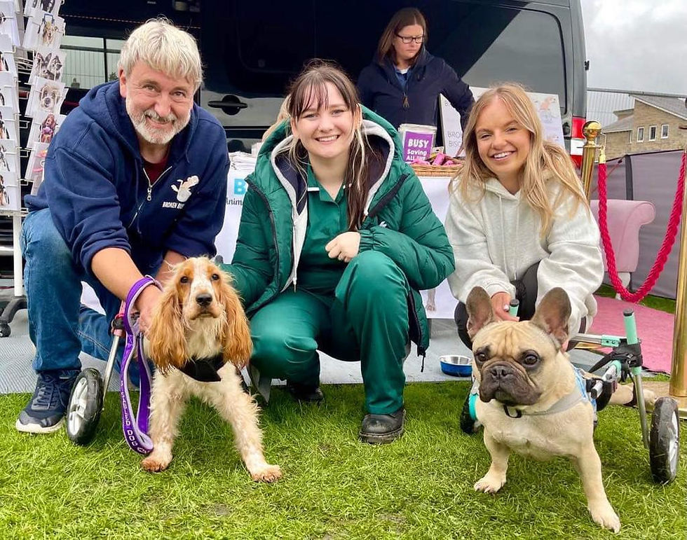 WhatsApp Image 2026-03-11 at 09.52.19 (8).jpeg