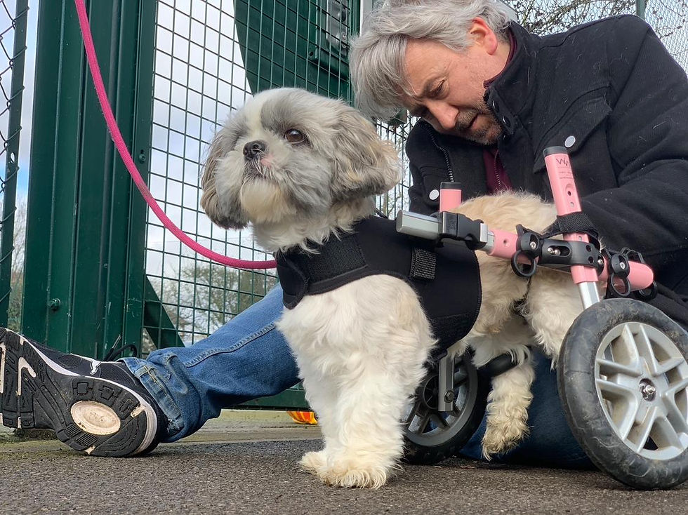 WhatsApp Image 2026-03-11 at 09.52.21 (9).jpeg