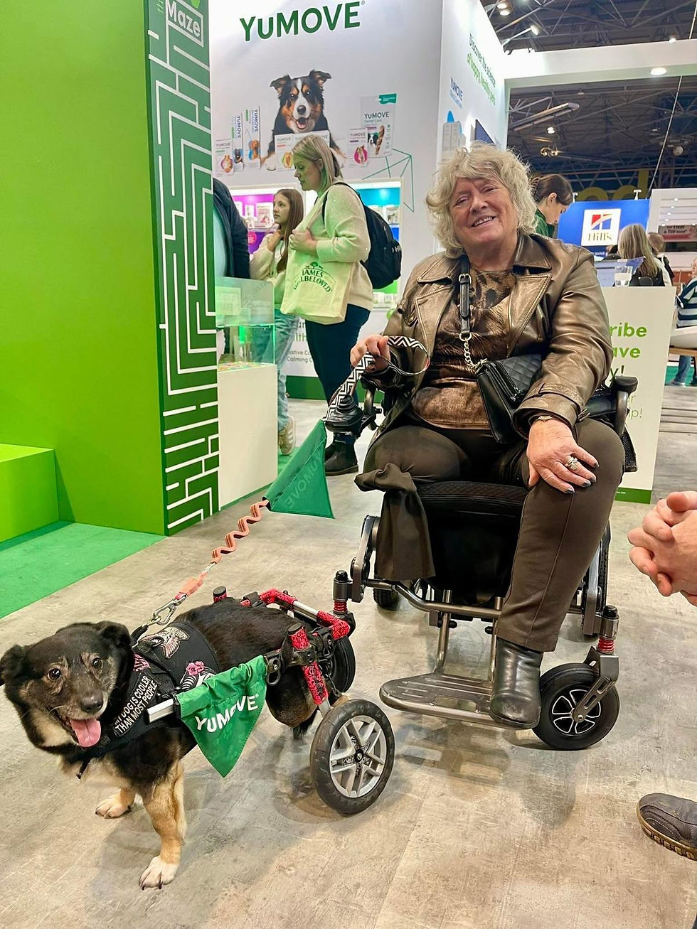 WhatsApp Image 2026-03-11 at 09.52.20 (11).jpeg