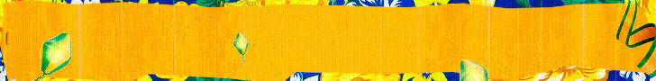 PMC - BANNER SITE 728 x 90 SAO JOAO.gif