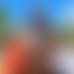 Luma F Soares com seu belo animal Atenas Apolo brilha em salto de 1 metro na II etapa da Copa ABH 2024 em Lauro de Freitas