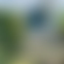 Candeias: Prefeitura anuncia antecipação da primeira parcela do 13º salário e “feriadão” para servidores públicos