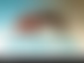 Aren't rhinos an endangered species?