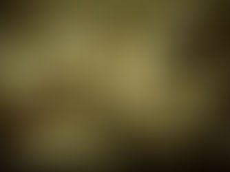 'Part of the model': Bodies of Alabama inmates are donated to families for organs, including brains and sometimes hearts