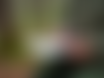 Hur man inventerar skog för viltförvaltning framgångsrikt