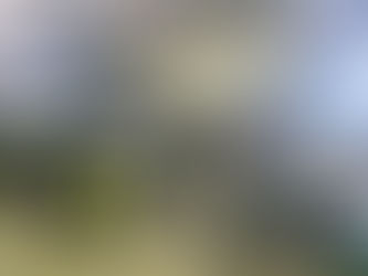 サブスクの主意について