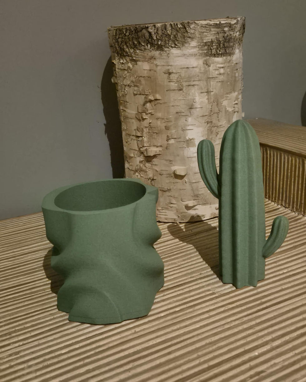 Duo déco CACTUS