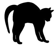 Today's Meditative Walk