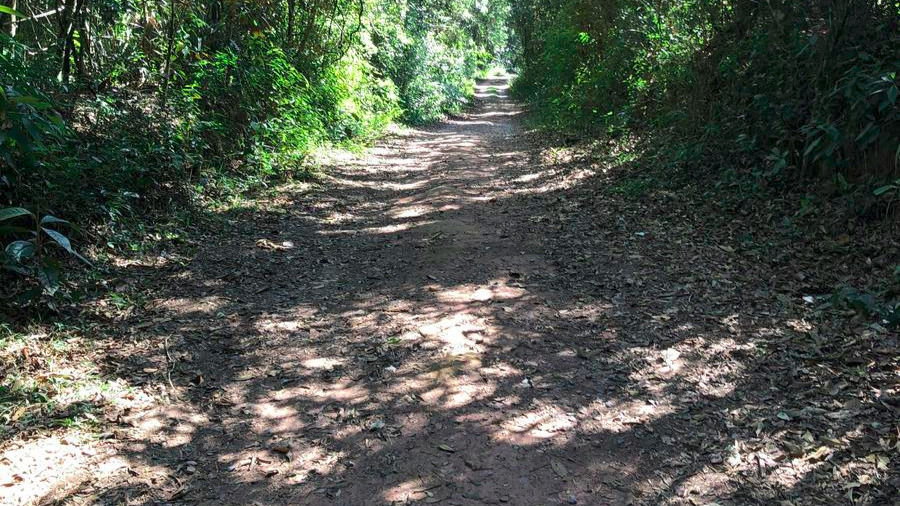 Trilha represa Cotia