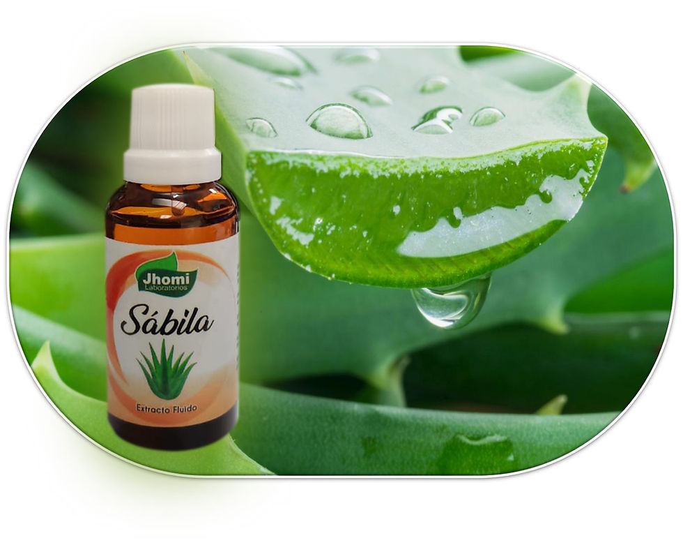 EXTRACTO FLUIDO DE SABILA