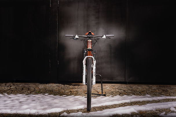 Wooden Bike-12.jpg