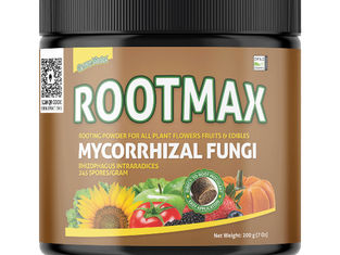 What Is the Best Rooting Fertilizer for Strong Root Development?