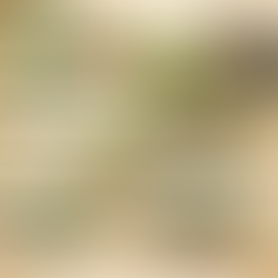 What Are the Benefits of Trichoderma in Agriculture?