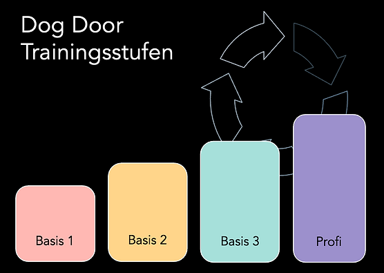 Trainingsstufen Schw..png