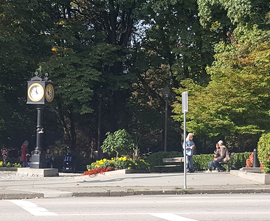 GREAT STREETS FOR SENIORS IN UPTOWN NEW WESTMINSTERColour.png