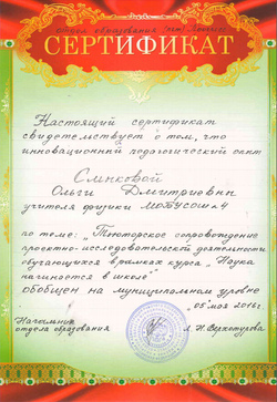 Обобщение опыта 2016 тьютор сопровожд