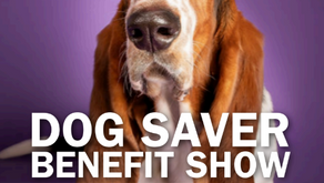 Dog Saver Benefit Show: August 24