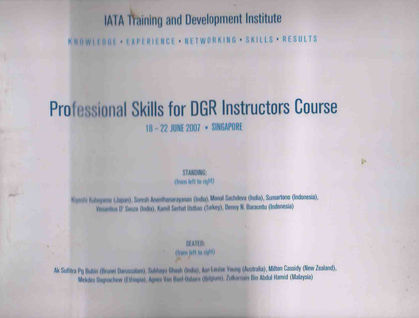 Professional skills for DG-Singapore with photo-1.jpg