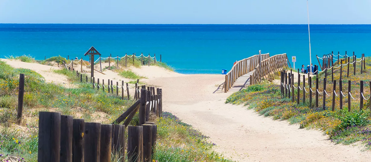 Natural beach path and dunes near Torrevieja, peaceful Mediterranean coastline