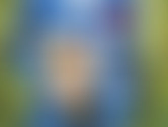 Eskuvoi oltony es üzleti oltony  € 650-2000/-