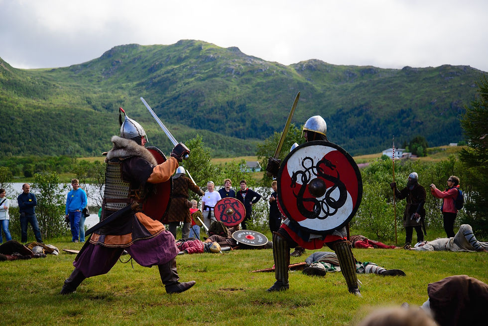 Viking combat