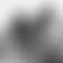 Behind the Scenes of a Family Portrait Session