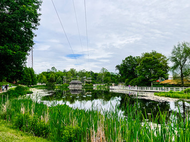Photo of a pond with trees all around
