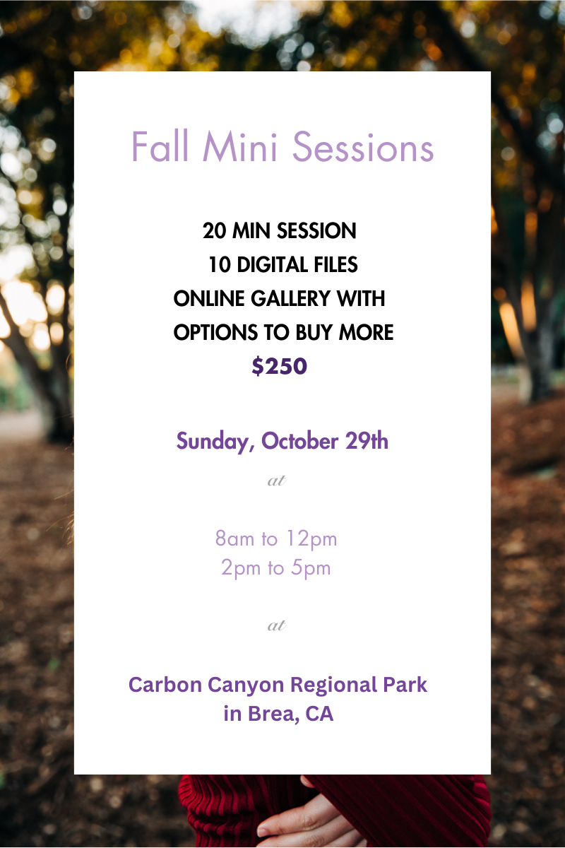 Fall Mini Session Dates