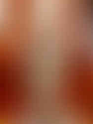 Architectural photo in the ark encounter