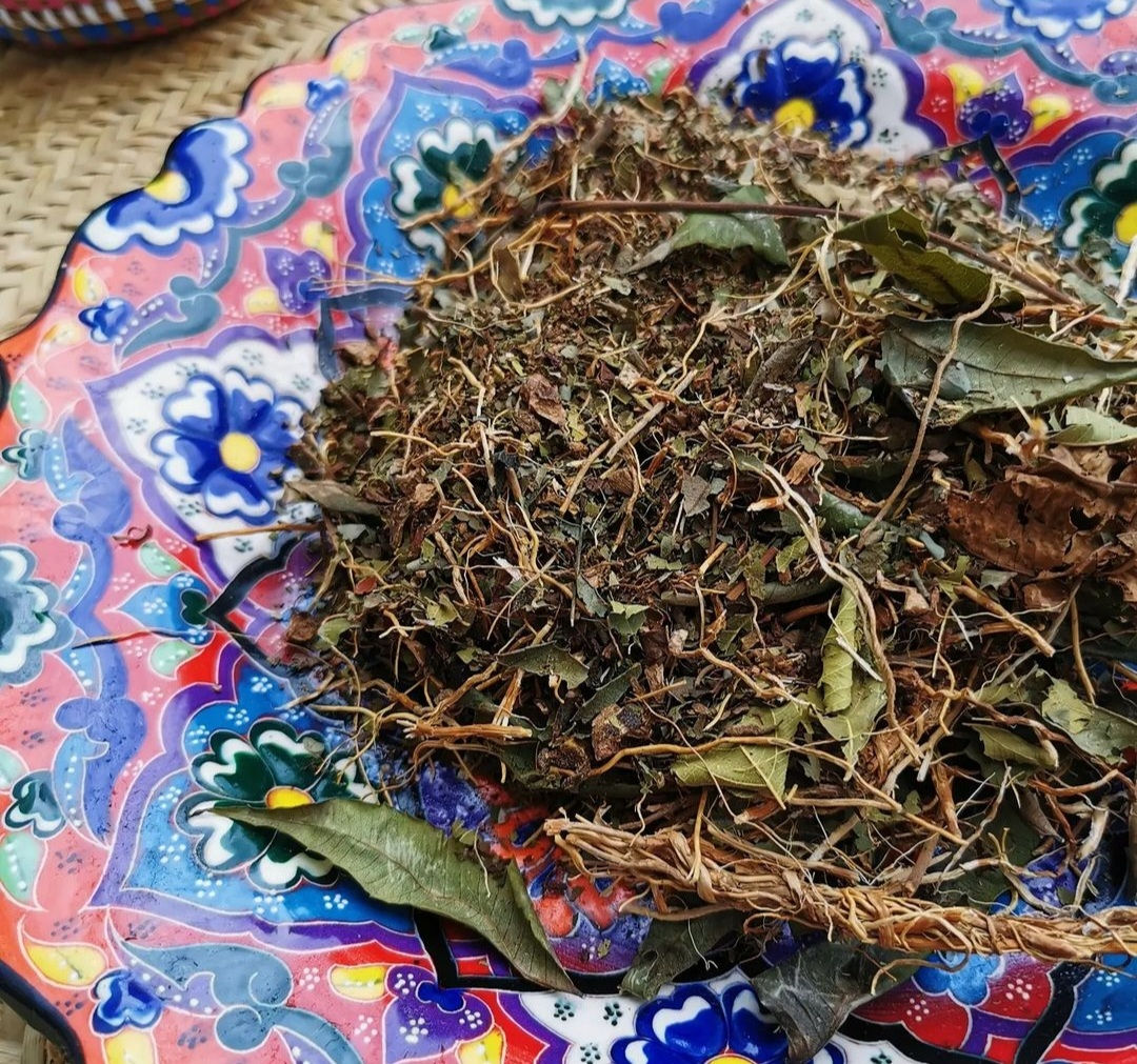 Smoking, Lung Infection, Kidney Failure, Lymphatic System Drainage