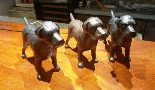 Three Dogs and a Rooster