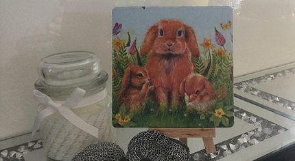 Bunny Family