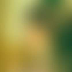 CHAYNLER JOIE ALBUM RELEASE FOR "THE RESISTANCE WILL NOT WIN (Part 1: Lovers)"