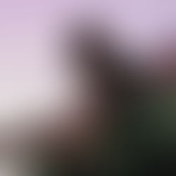 TWNTY8