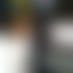 PATIENCE IS THE ONLY SOLUTION