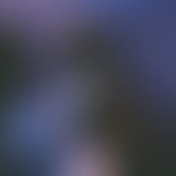 VEL