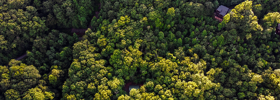 DJI_0248.jpg