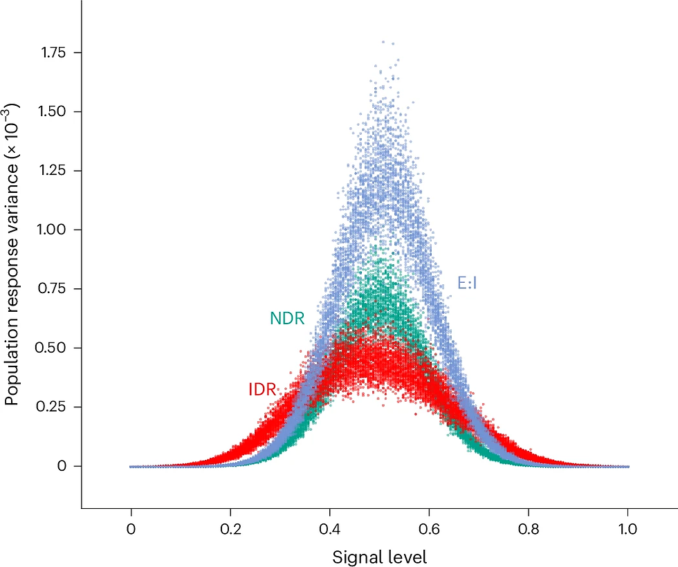 Increased dynamic range increases the range of elevated neural variability