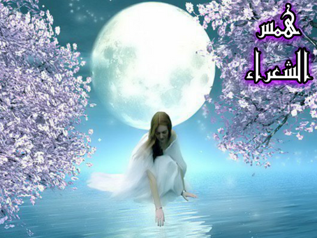 قد نلتقي او لا نلتقي بقلم الشاعرة بيان الأحمد
