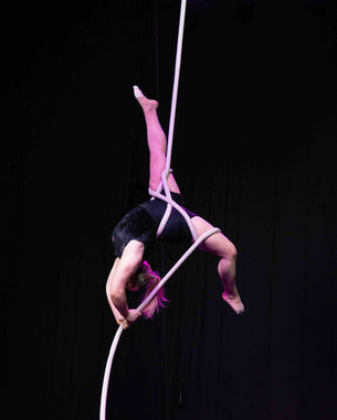 Opening Gala's image