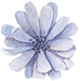 flower_15_edited.png